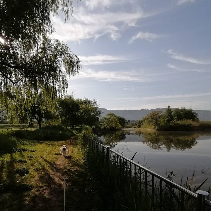 C248d4bf 2d5a 409e bff0 c3d02dfd3792 1589241297040