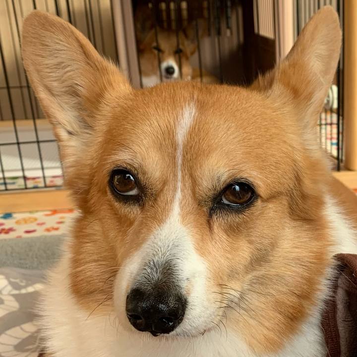 C248f8f9 ae52 4b9f b0e0 0bf335305290 1639184176088