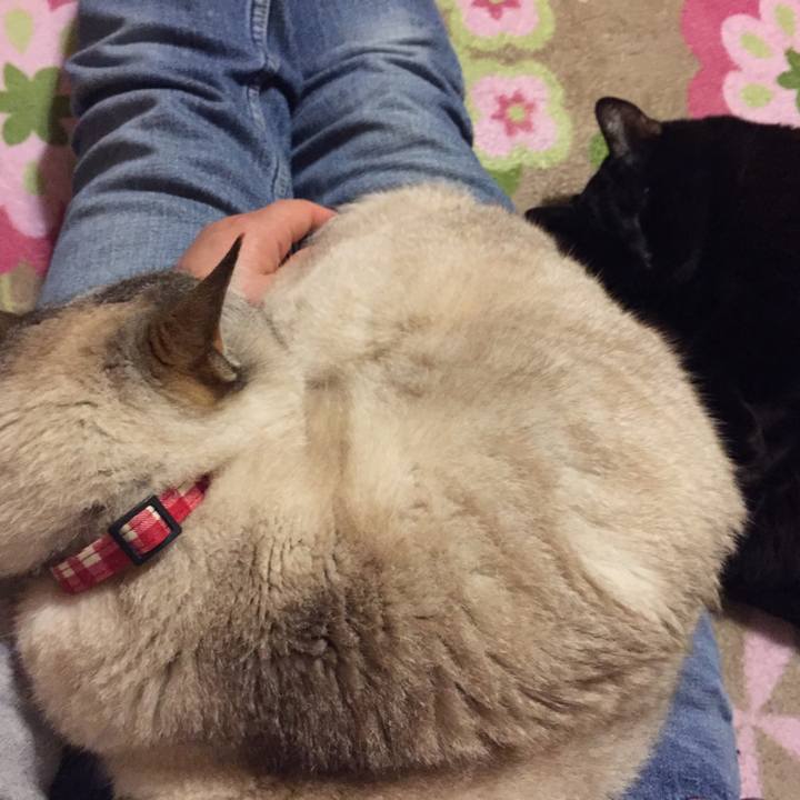 C2491c05 0e69 4d80 8652 9129f646775a 1522843971735