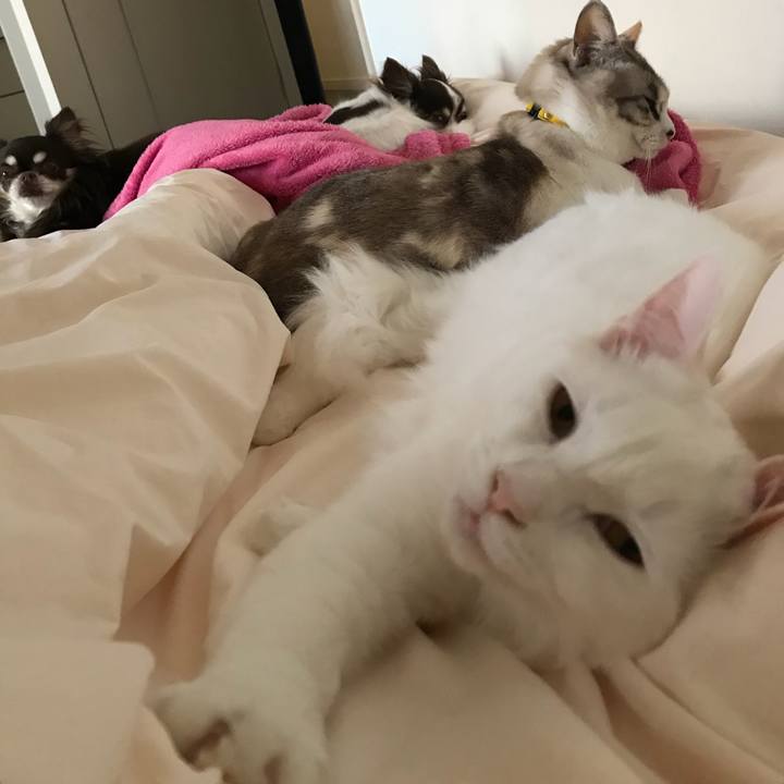 C2492ed2 86ce 433f a24b 46d0d8018ce7 1520044932074