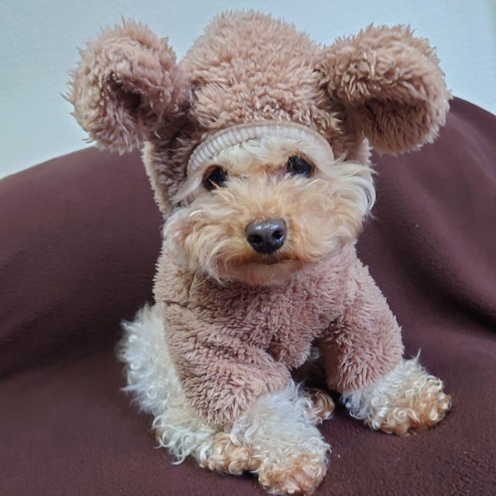 C2494904 9c4b 4f0a af20 bedb31deceb0 1770191447873