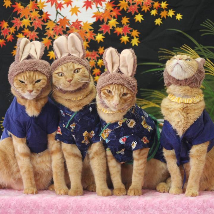 C2494ab1 7d6c 4049 895f f62896658657 1694095782166