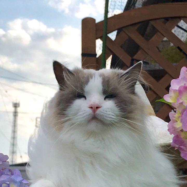 C24969b1 803f 4045 b6cf 2bbda8528fe0 1591602970840