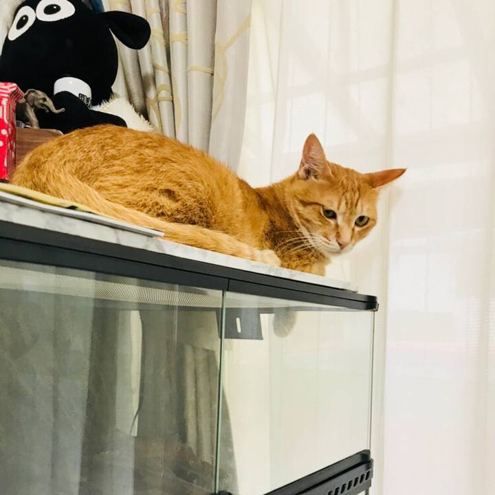 C2499f48 5861 4bbf ab50 d8cf3bdcfeb0 1530780107148