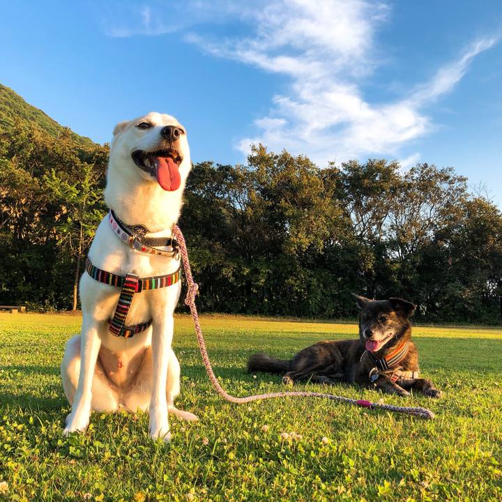 C249c971 16a1 445a bead f380967e0e3f 1593004561840