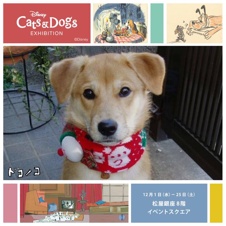 C249d27c c011 4a98 b47b 24c76c3df797 1639739502664