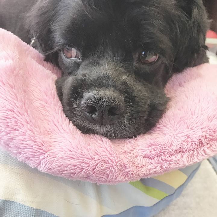 C249edcb 7c2b 4c4e 9e4d 6fefcdb89889 1534486003809