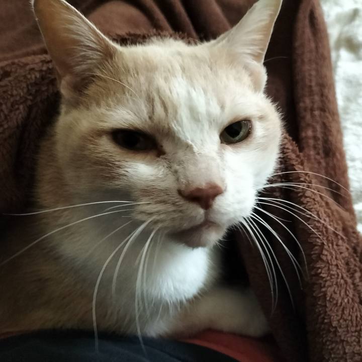 C249f9b7 6af5 4b12 b211 225471ebb958 1640558233143