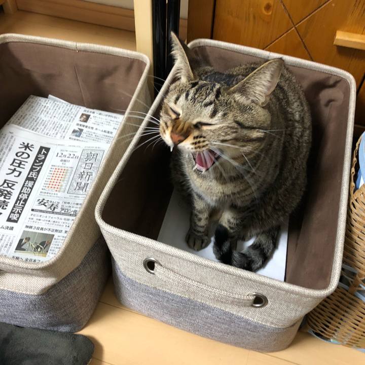 C24a26da 0d69 4f93 8c31 441f2fb5bf95 1515616274464