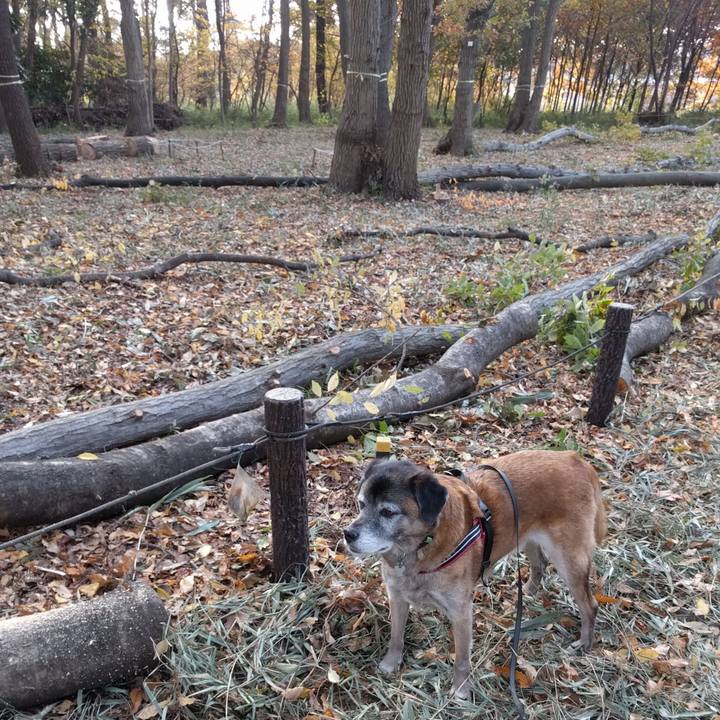 C24a2b27 a15e 4578 8891 95eaa625b7b9 1543888415102