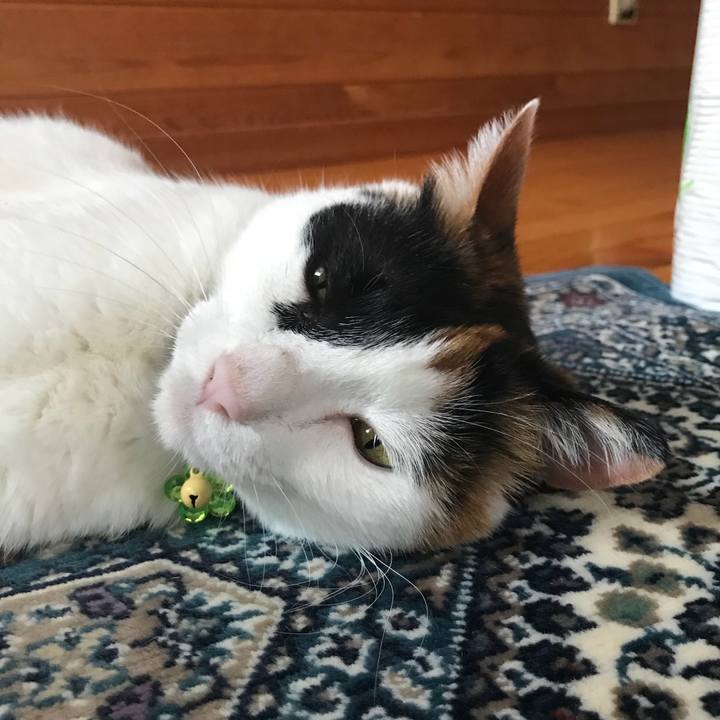 C24a94de d5e4 4ddd 82de 2ea1cbc32a83 1528015090939