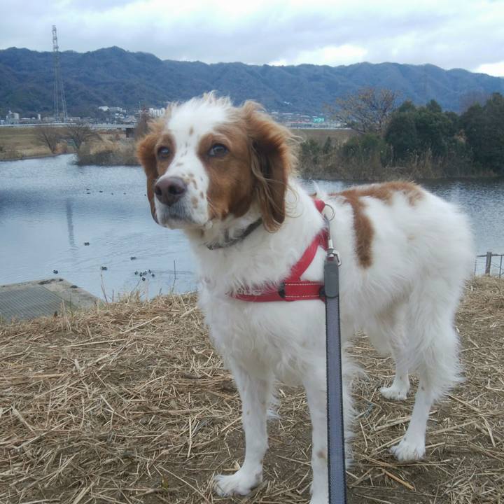 C24ad37e c894 4350 9e52 c056f77bfc3c 1548462502720