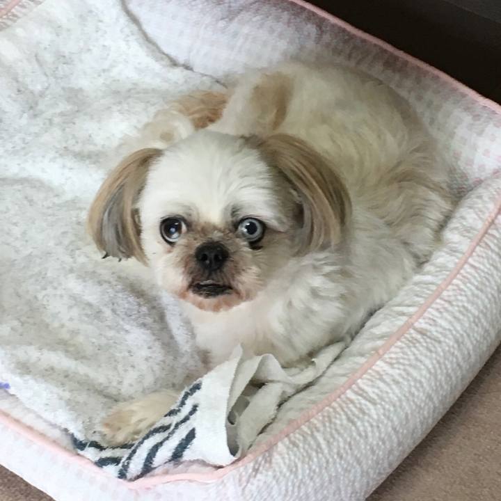 C24ae5bf b757 4510 9e03 85d5190abbe9 1625312555410