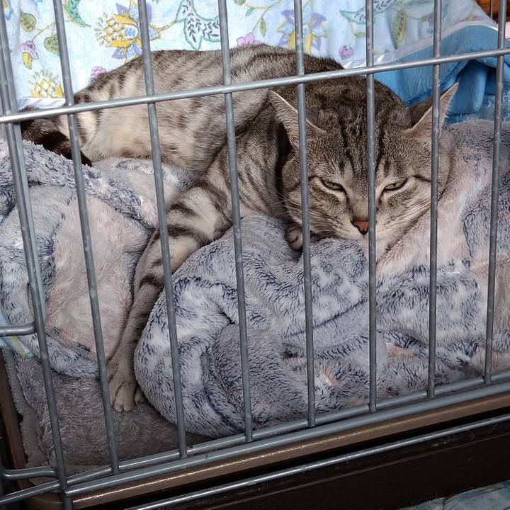 C24aea3a 7b74 4d77 9aa5 c960bd61e097 1633444340886