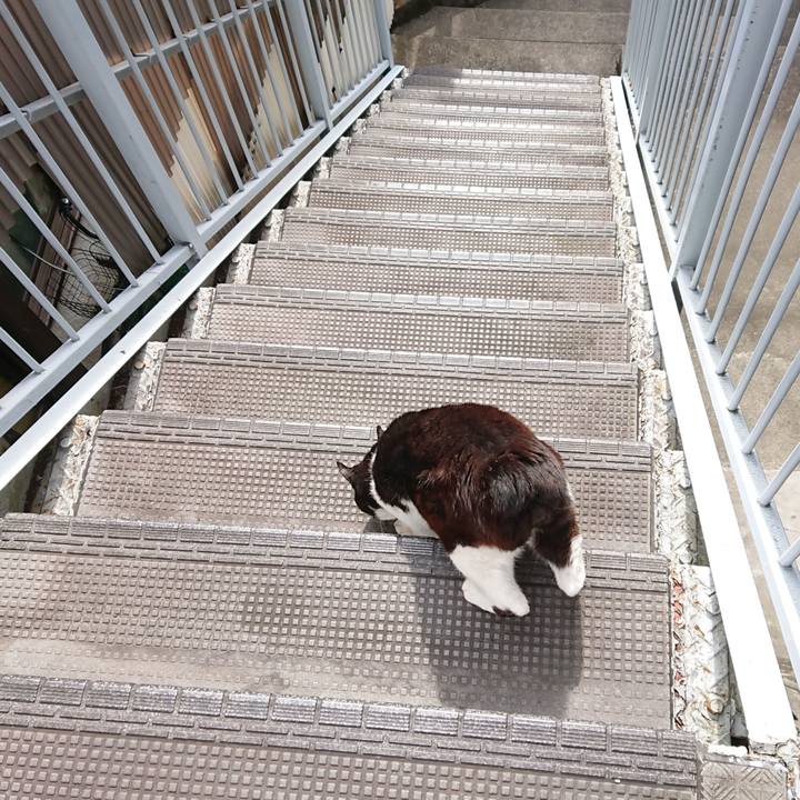 C24b067b 4e8a 4bd6 85ab 3262d5741d68 1620171640392