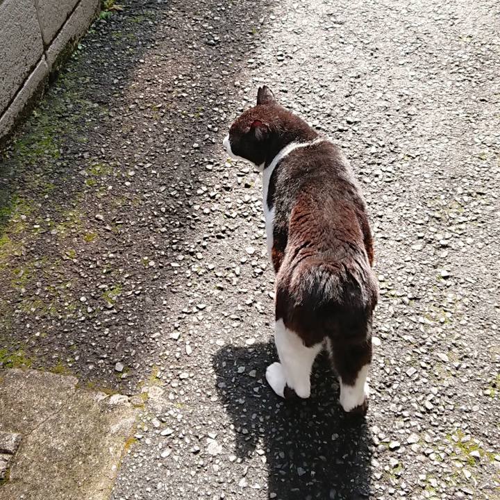 C24b2395 0753 444f 91b8 8c4180aec3ce 1620963679294