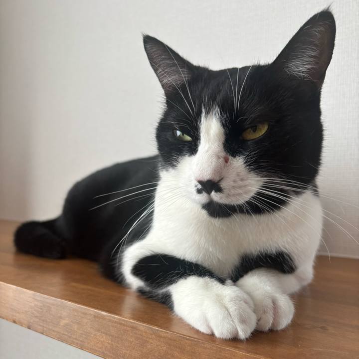 C24b2e85 24b9 4dc5 a9b5 c1b388327c41 1760840466493