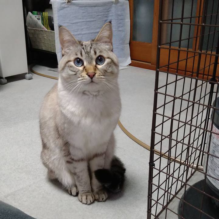 C24ba6c9 8940 4935 af32 c6ba9c0cbc85 1675508851560