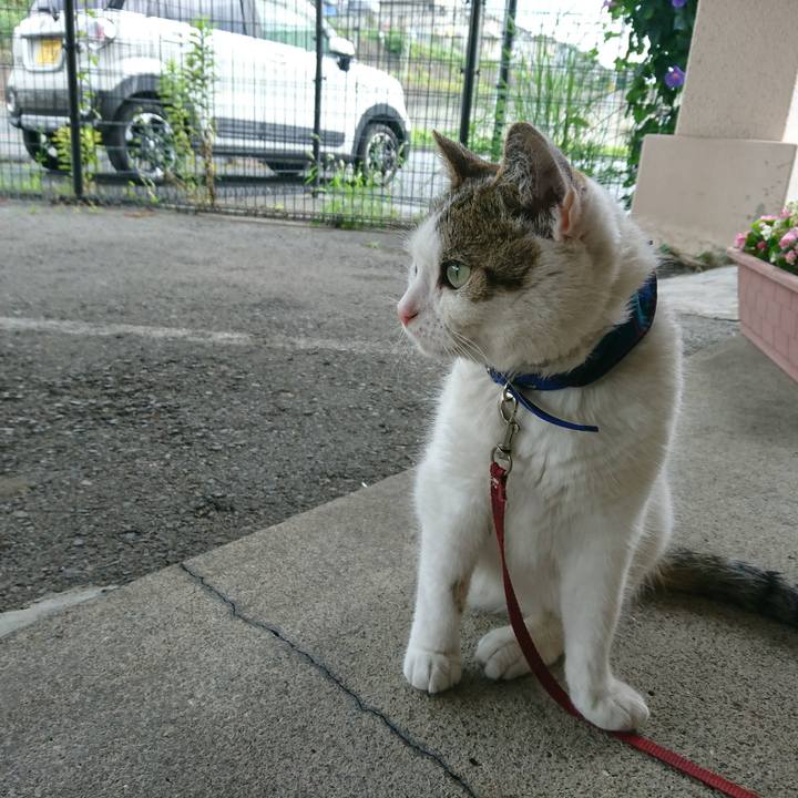 C24bbfbd 1b9a 4024 bea2 b68e13515fd5 1561700228438