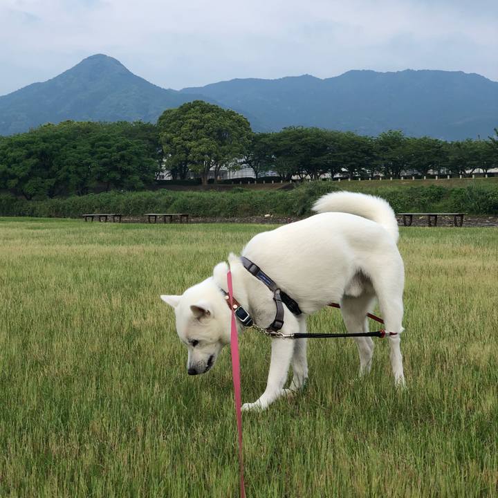 C24bda69 c2ed 45f7 af11 9f1f01916705 1559343551590