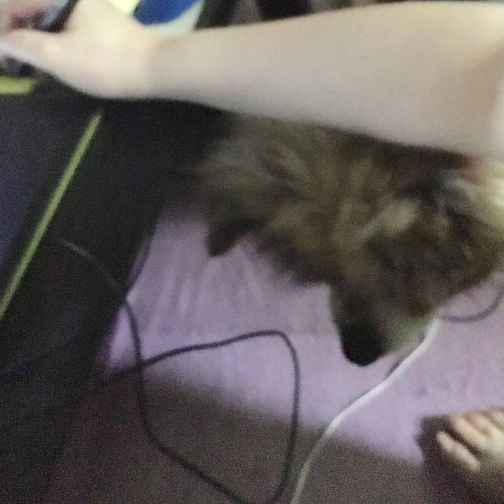 C24bf279 513c 4536 94c1 ab4305bf837b 1550540330242