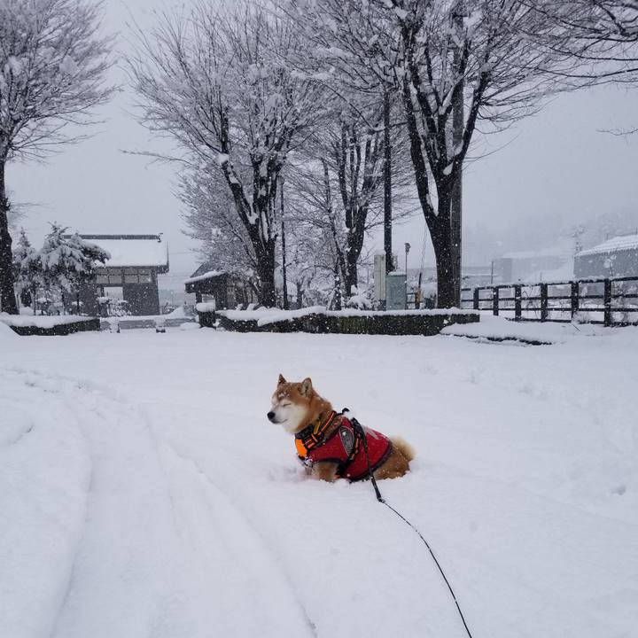 C24c025f 284d 4386 9ff9 590005a1f133 1582787895904