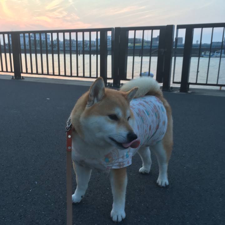 C24c41fe d505 406d af81 52127462c5fa 1551781973519