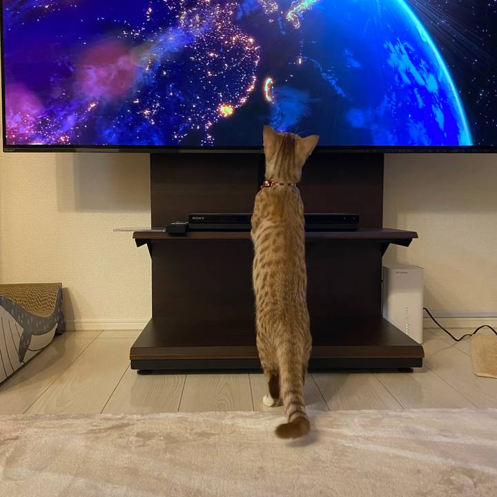 C24c44c7 d72e 466c af6a d029fd012763 1606050234216