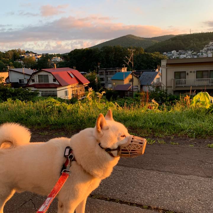 C24c5291 6fd7 4af6 9d94 9ca42f926be7 1598130797518