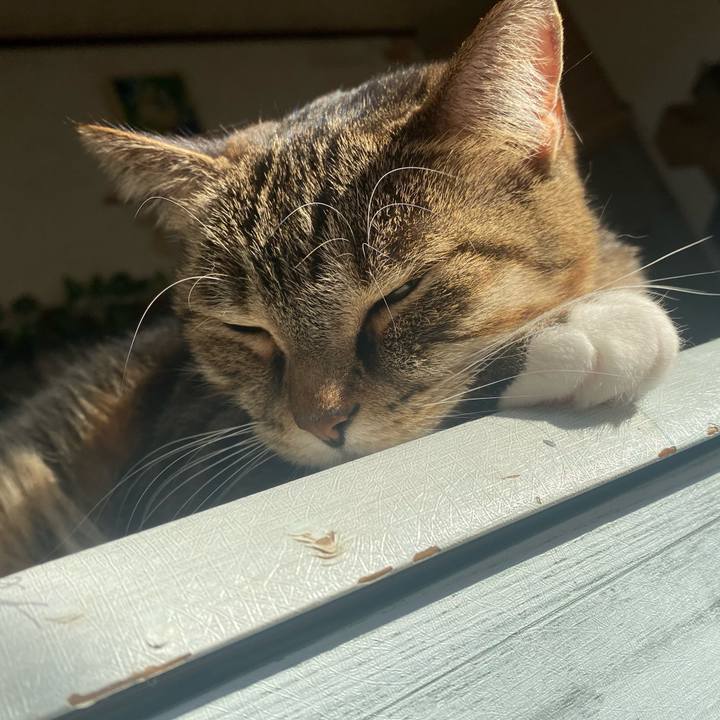 C24c65e6 cf1c 4d5e bf8b 9329efbd50da 1636846811850