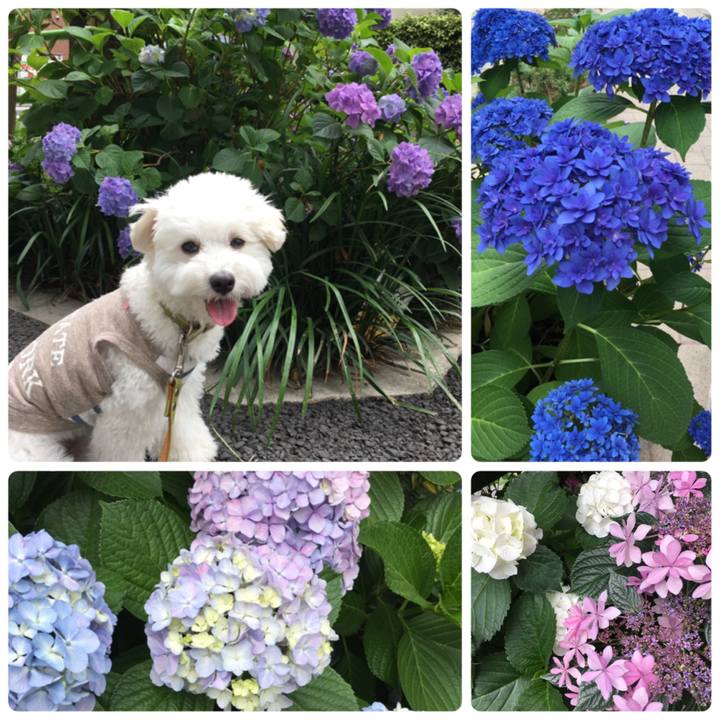 C24c6f3f b531 4685 b1a6 6f55c5969be4 1527653083690