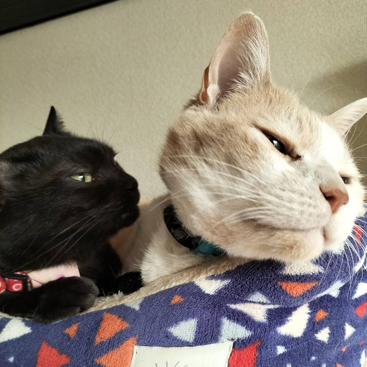 C24c7e39 a366 4496 a2f4 dfde43ab0653 1643327314742