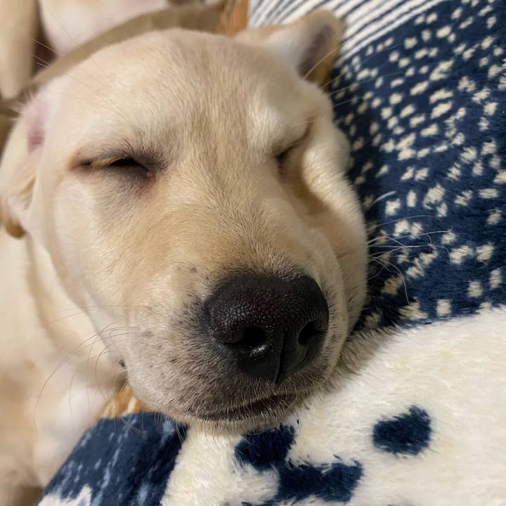 C24c8d62 b984 44eb 8d8d 67e57e965aae 1612791211205