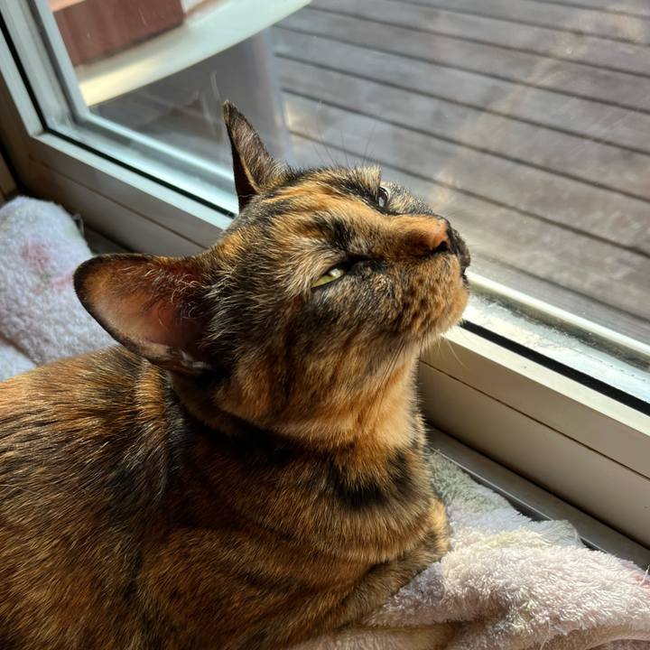 C24caede 1757 400f a8e9 d42bc112d4c3 1751149435739