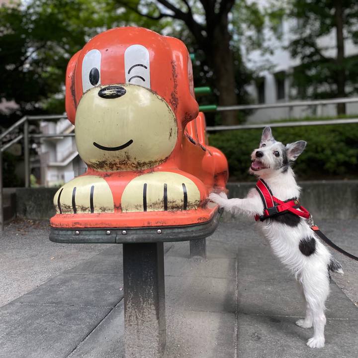 C24cccda d891 4725 8825 76046a2007fe 1596626022743