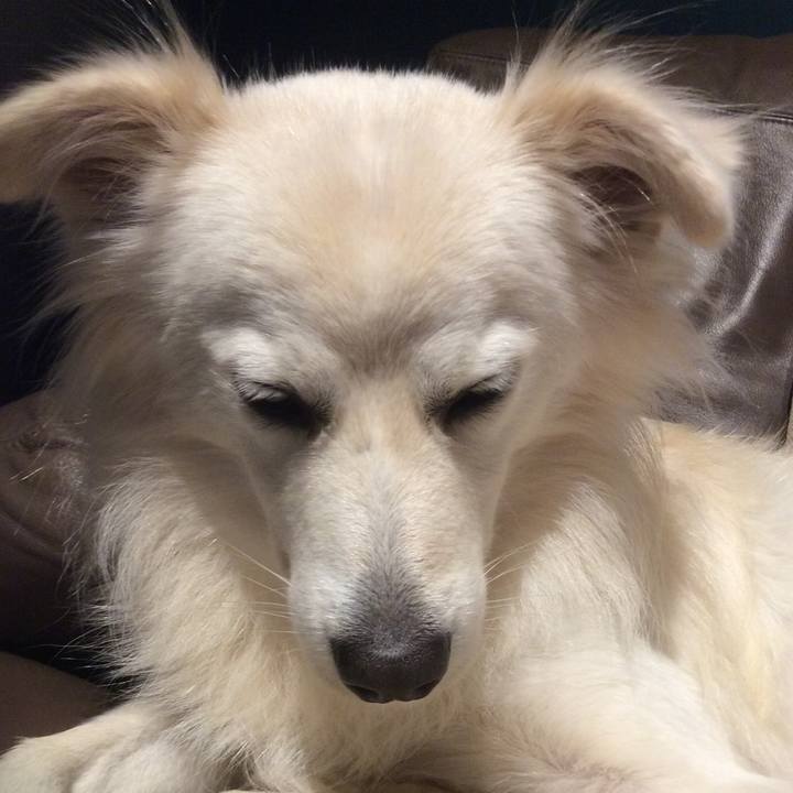 C24cd869 bd98 49f3 b34c 8390cee2a4cf 1509789899458