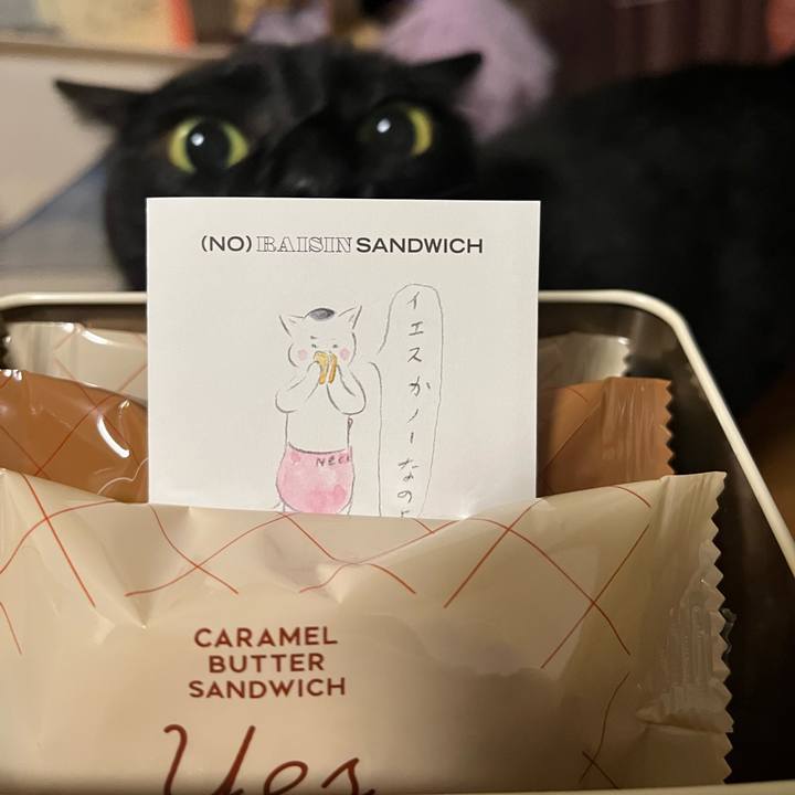 C24ce57d 0799 472d b7ed 01615451cf1f 1762684702756