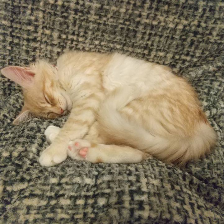 C24d4e89 d807 478d 88b0 558ee9f6455d 1607291955639