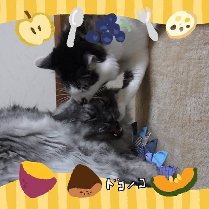 C24d6f36 f37b 4876 aafb 94f8a0a20a5d 1727299007145