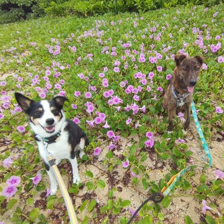 C24da40d 6f33 412d a012 0a6b7fa29ba7 1727879155643