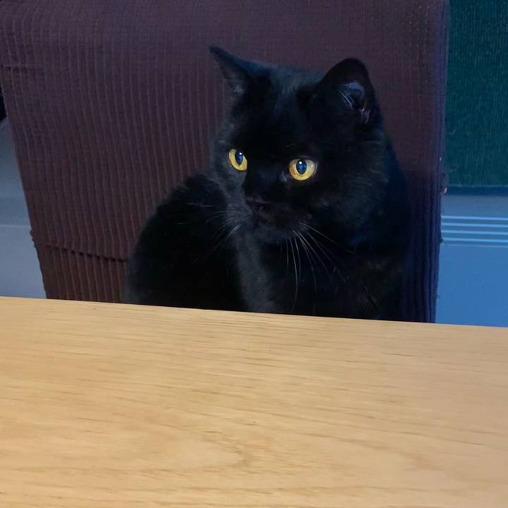 C24dc619 69c1 4322 99e1 c2a8e76318db 1716717531990