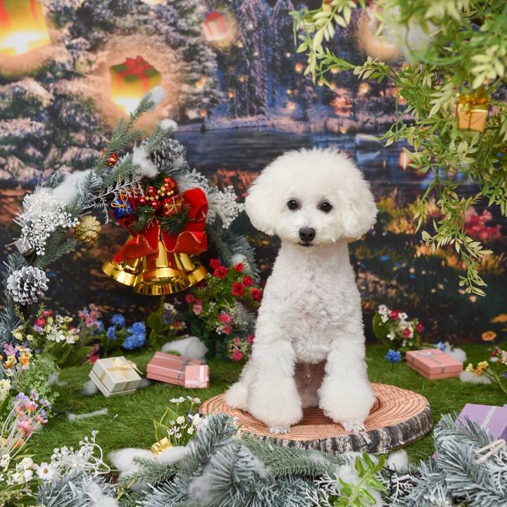 C24dc89c 7363 429b 8584 ee19db6d4358 1514159391360