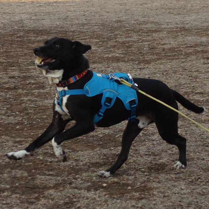 C24df9c4 1d4a 4d2f 8ef2 cc98038b38ad 1611275059555