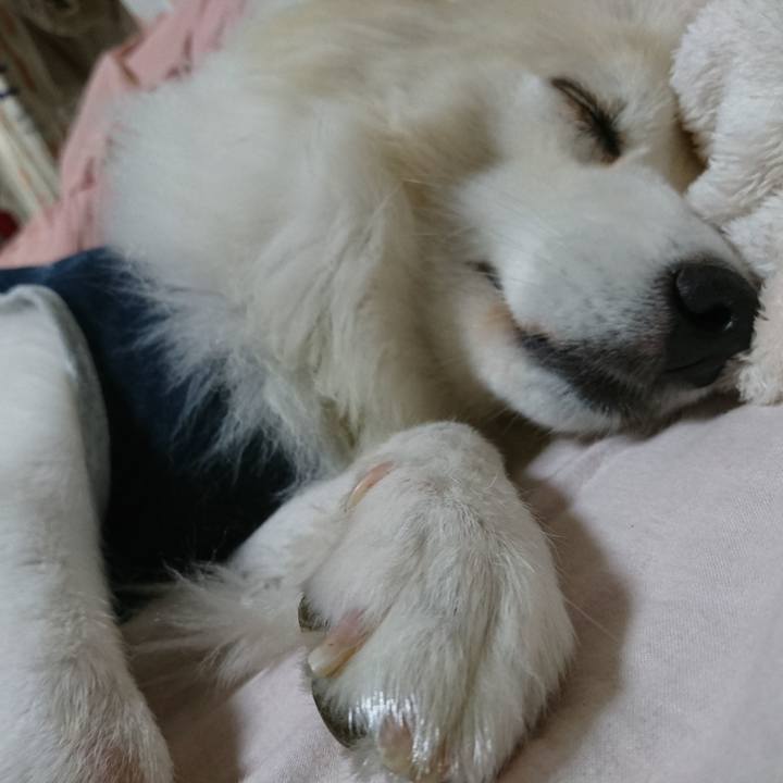 C24dfe51 e4da 4788 976f b2eca1c3271c 1539863544091