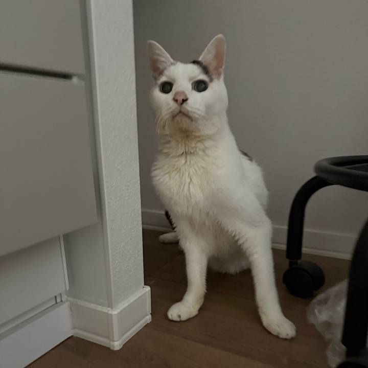 C24e3f0b 4f46 4ed9 8a5d b35c7ac1accf 1763867727028