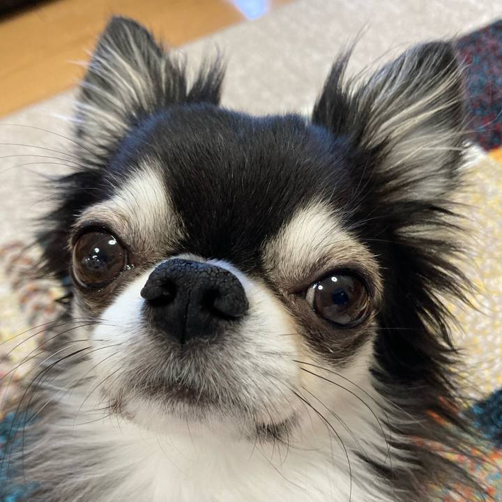 C24e5cd8 728d 4ed6 bca4 13880332a419 1704496650055