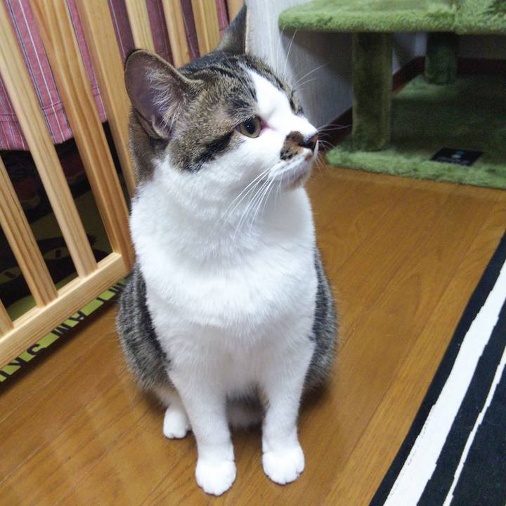 C24e7cdf f07e 4ba3 9ad4 255de2a97943 1626617738849