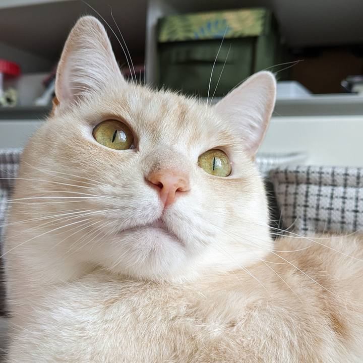 C24e8057 a828 402f bd4f 8da4f4fa3e68 1706856586956