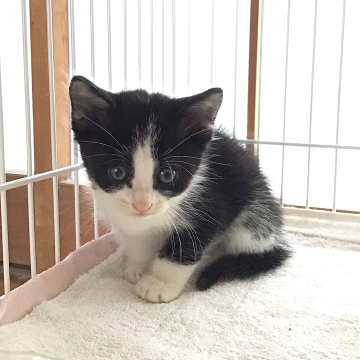 C24ebd1a 4c52 4c31 a947 1464f23a8948 1622509557739