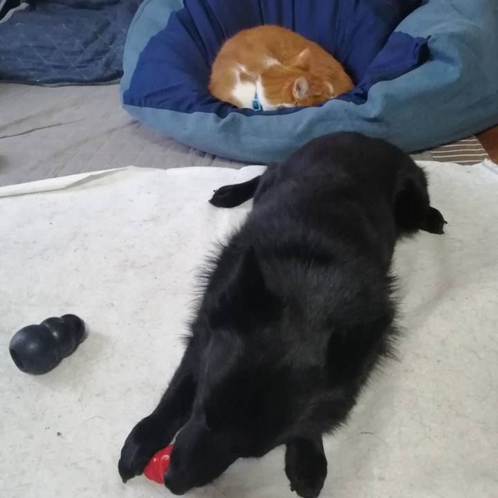 C24ef2d2 468d 41af 821d e410043ffa4e 1618109594919